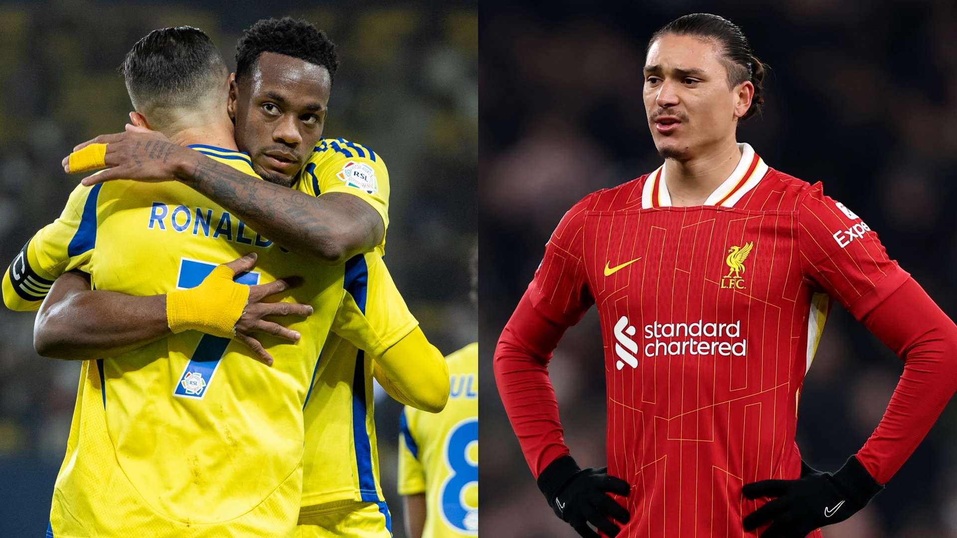 选拔的领域 选拔的领域