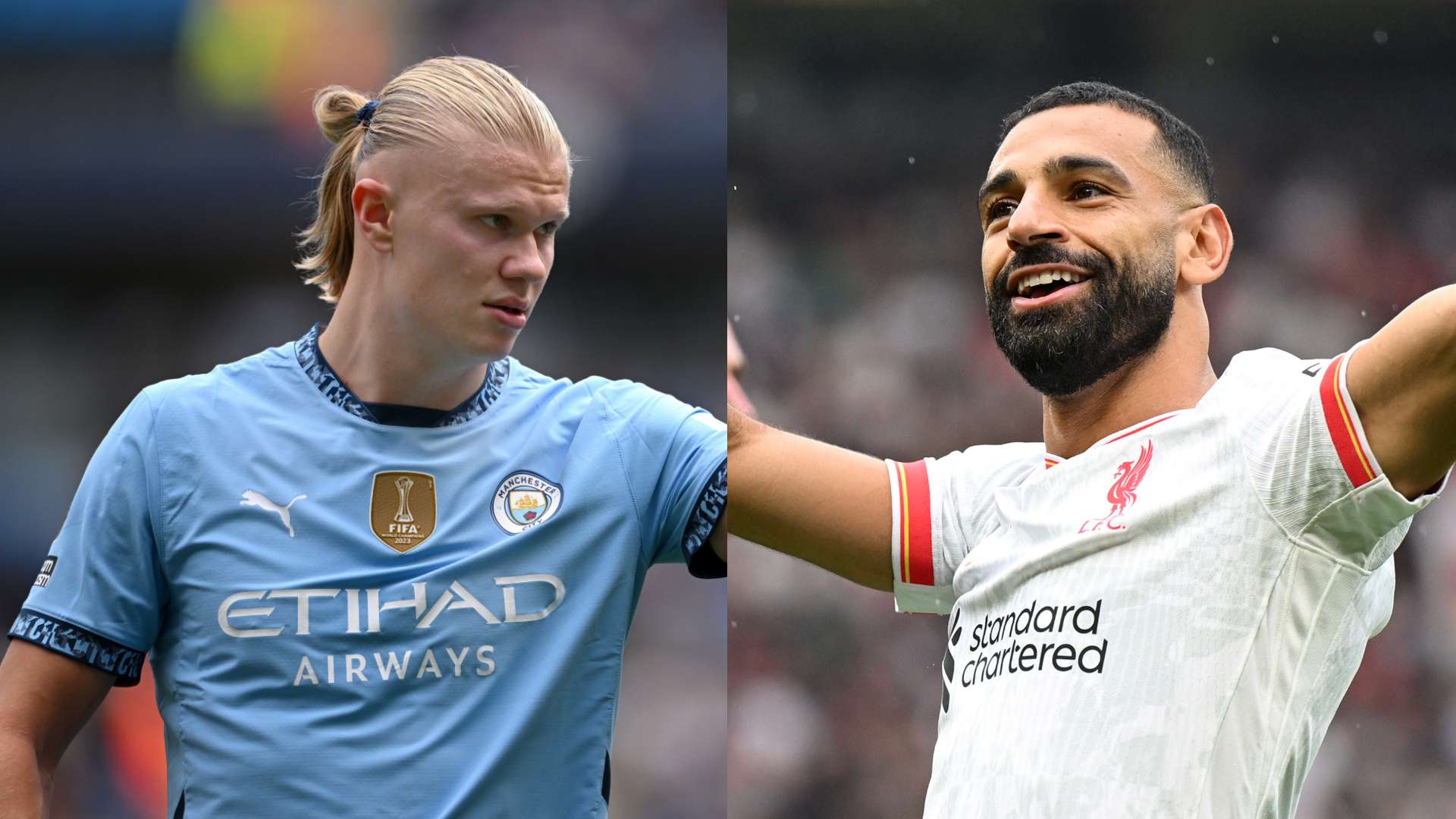 集中组织 集中组织