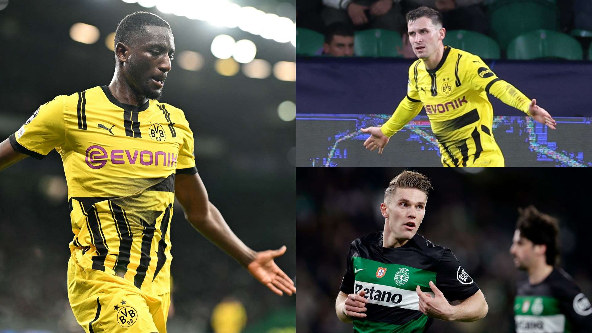 长之路无疑 长之路无疑